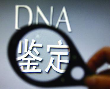 DNA亲子鉴定怎么做?